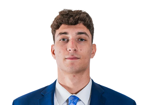 Aleksa Dimitrijevic