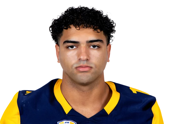 Sayed Abuhamdeh