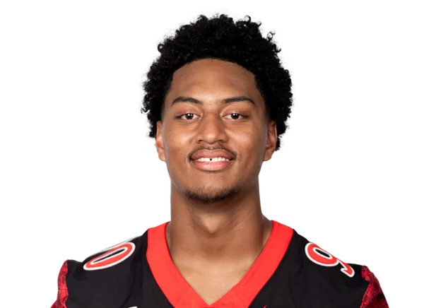Robby Lavata'i