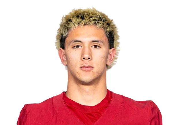 Kai Rapolla