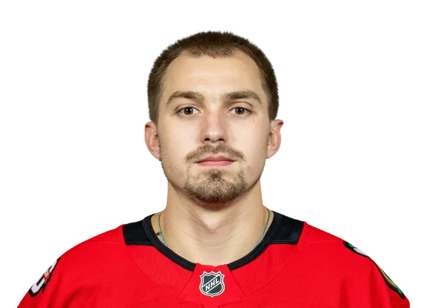 Artyom Levshunov
