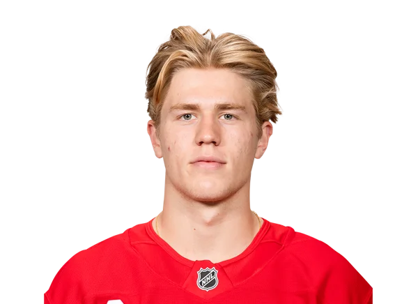 Michael Brandsegg-Nygard